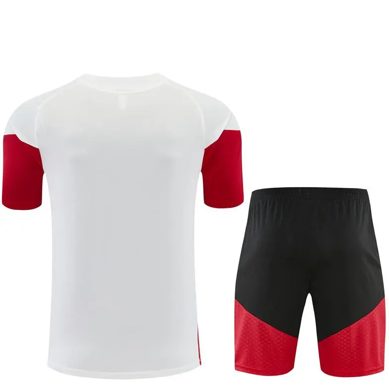 2026-27 Germany Short-sleeved training clothese