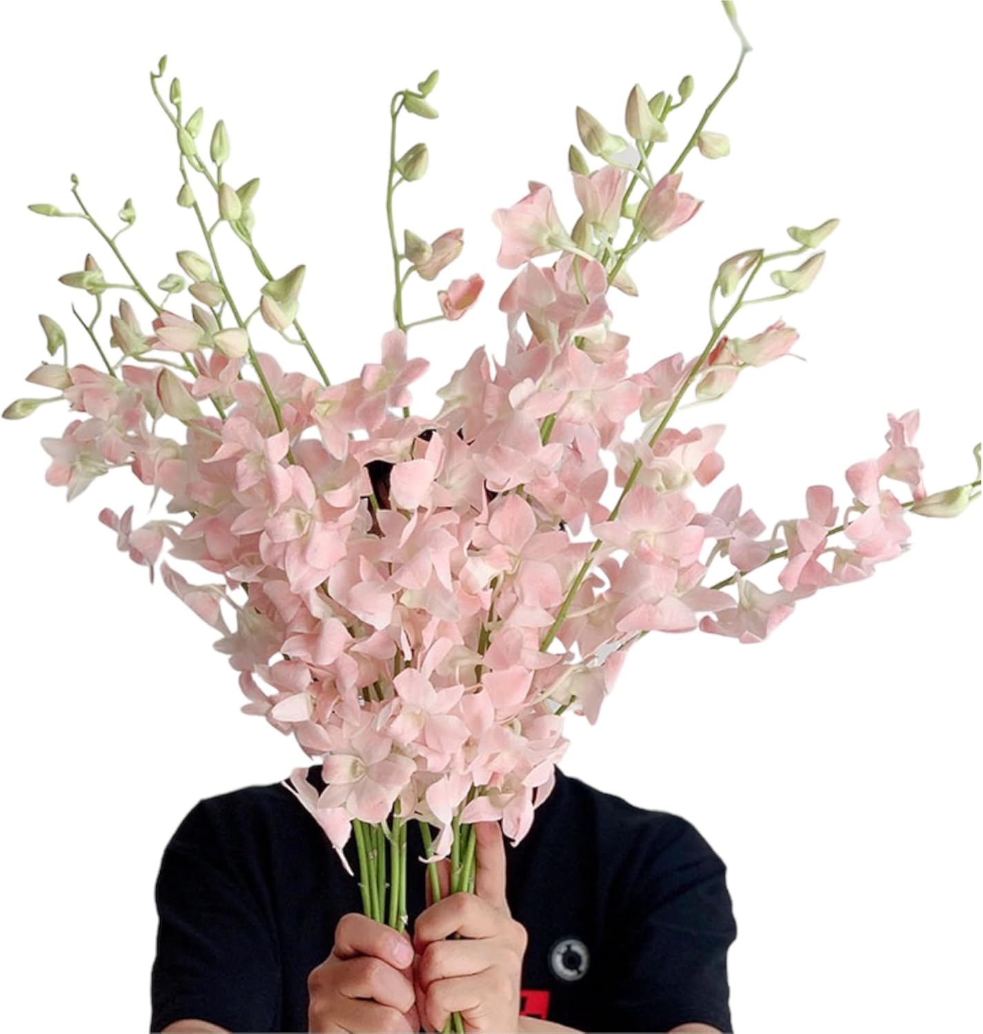 20 pink orchids fresh cut flowers gift birthday anniversary Valentine's Day flowers Dendrobium