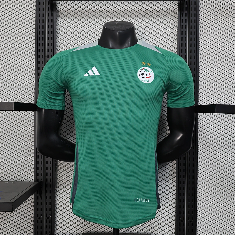 Player 2025-26 Algeria Special Edition Football jersey