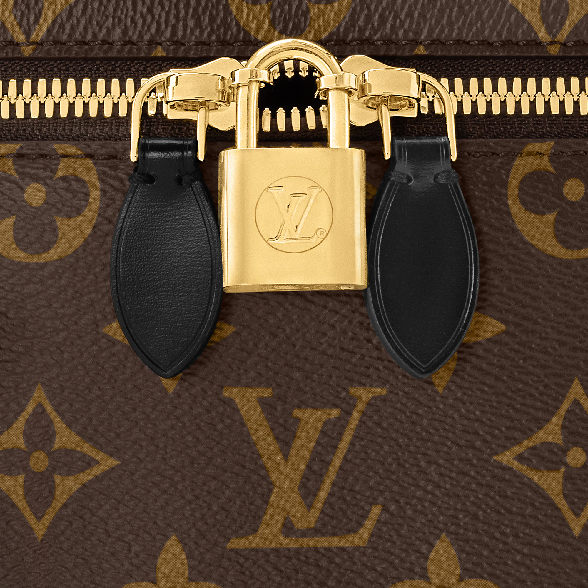 Louis Vuitton Vanity Chain Pouch Other Monogram Canvas 17cm Women Handbags M47125