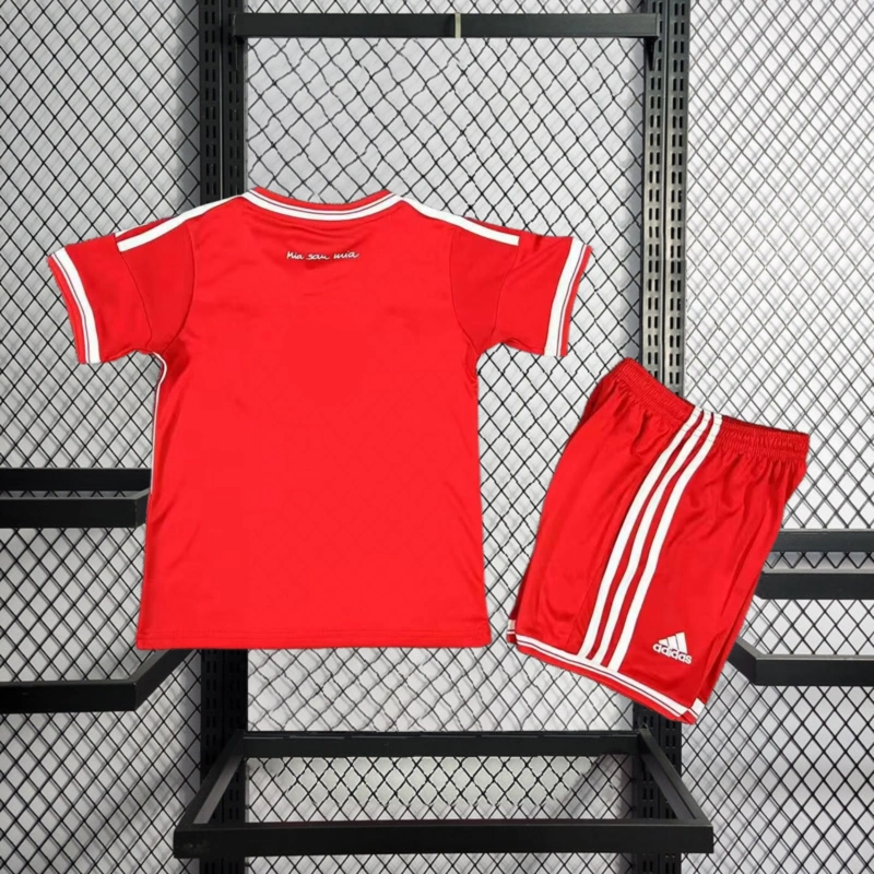 Retro kids 2012-13 KIDS Bayern Munchen Champions League home Football jersey retro