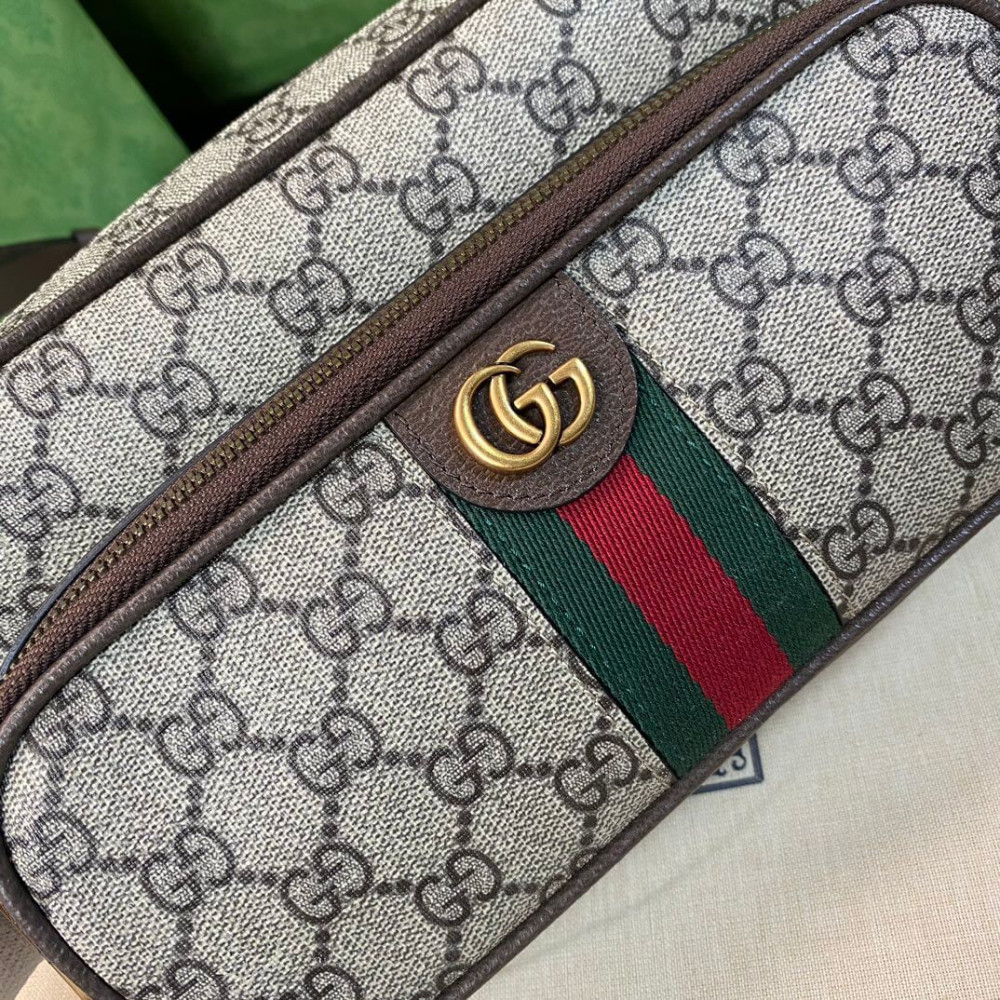 Gucci Ophidia Small Messenger Bag 723312
