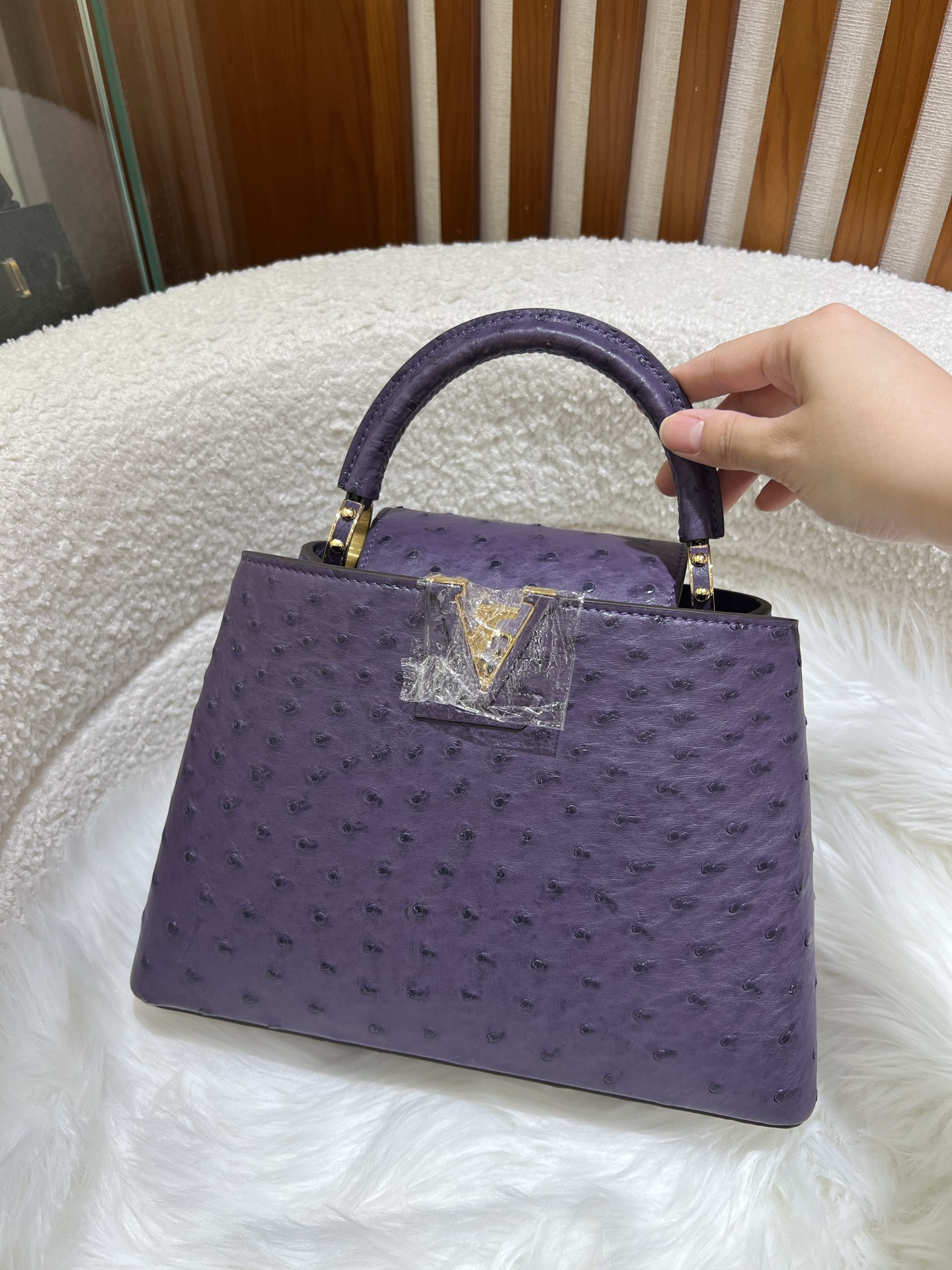 Louis Vuitton LV Monogram Capucines Mini