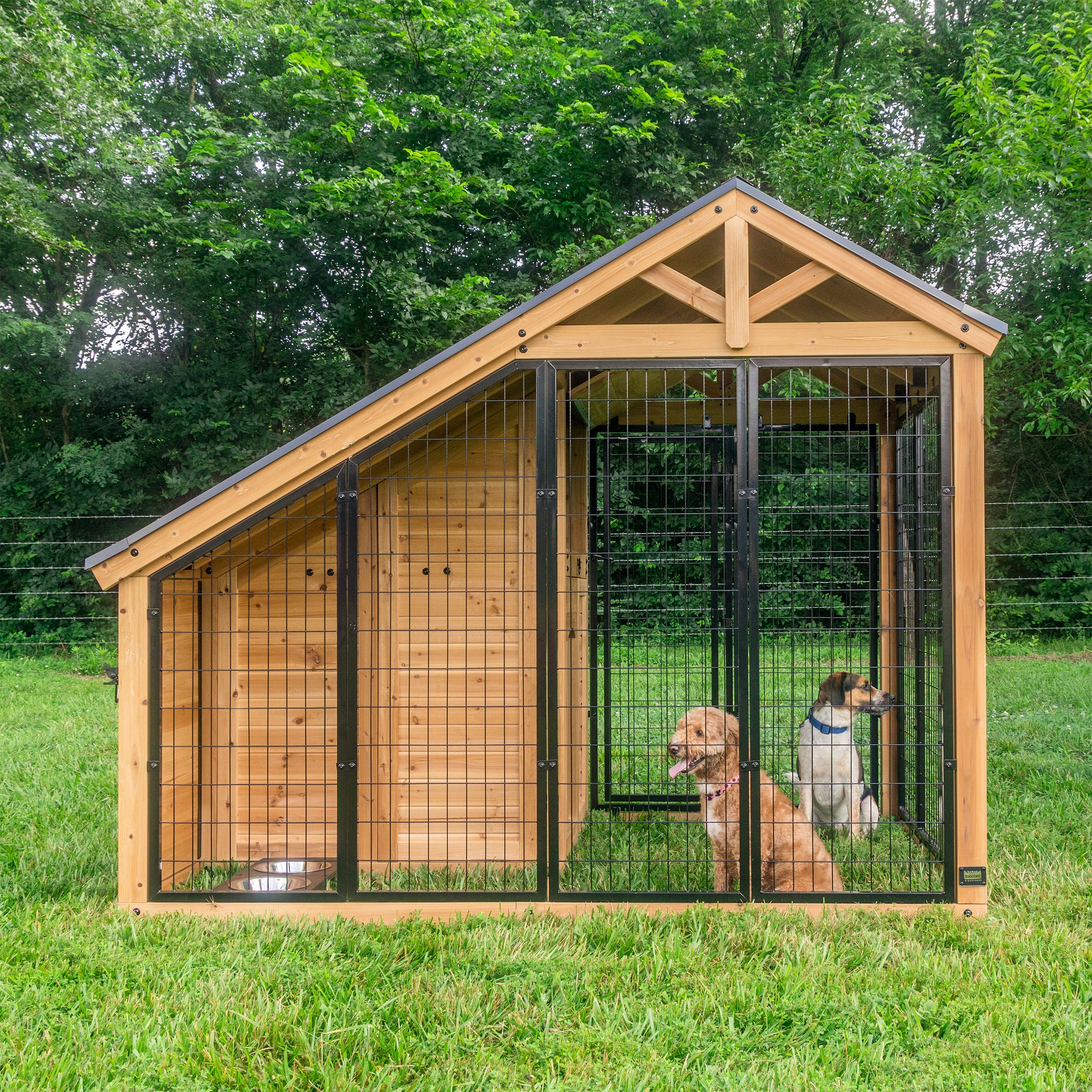 Animal Enclosure