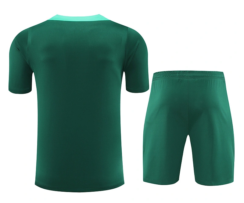 2024-25 Portugal Short-sleeved training clothese