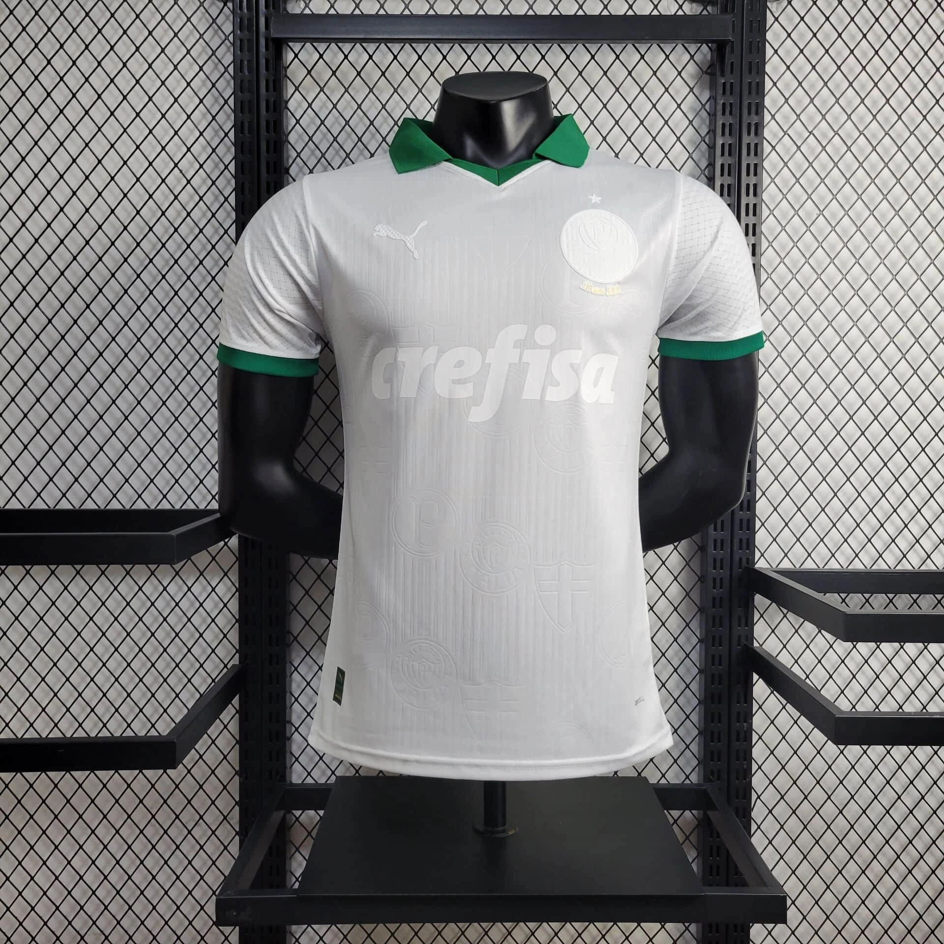 Player 24-25 Palmeiras Special Edition  football jersey