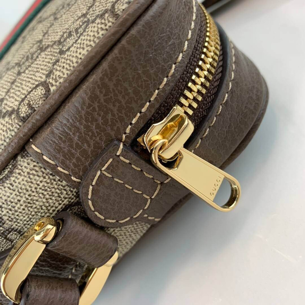 Gucci Ophidia GG Supreme Mini Bag