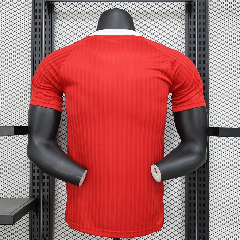 Player 2024-25 Manchester United special edition red Football jersey