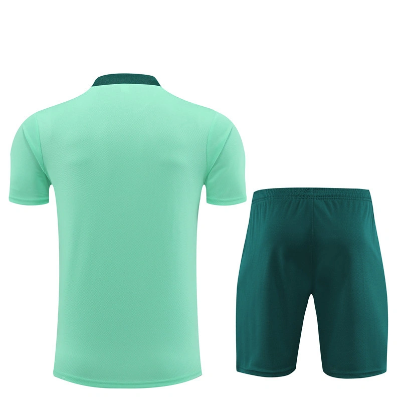 2024-25 Tottenham Short-sleeved training clothese