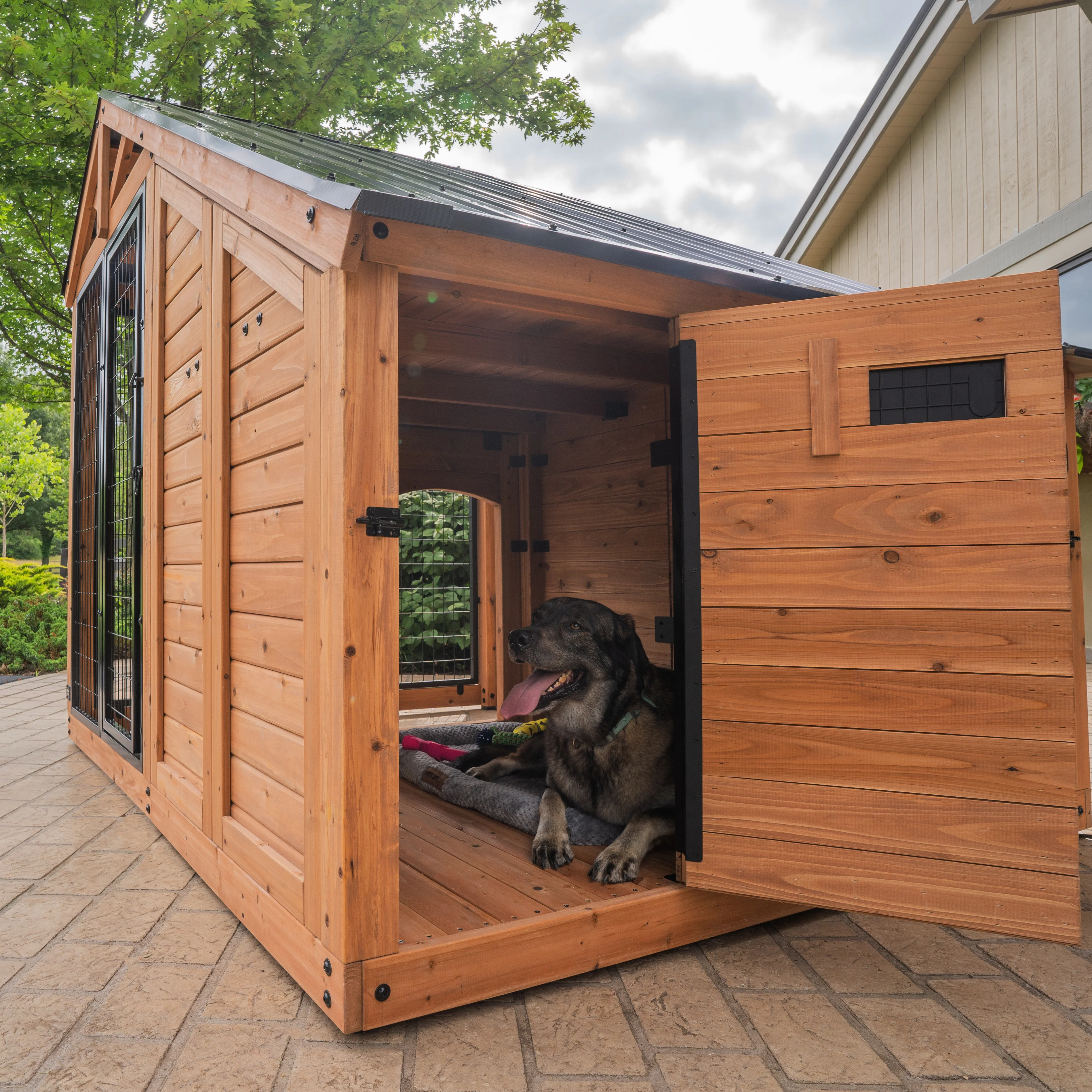 Animal Enclosure