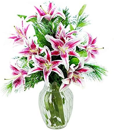 KaBloom - Seasonal Pink Stargazer Lilies with Seasonal Greens with Vase - Fresh Flowers for Birthday, Valentine's & Mother's Day