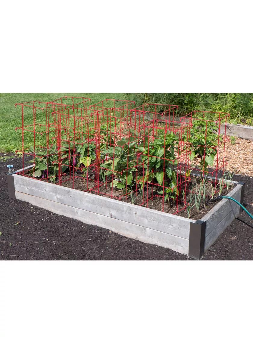Pepper and Eggplant Cages, Set of 3
