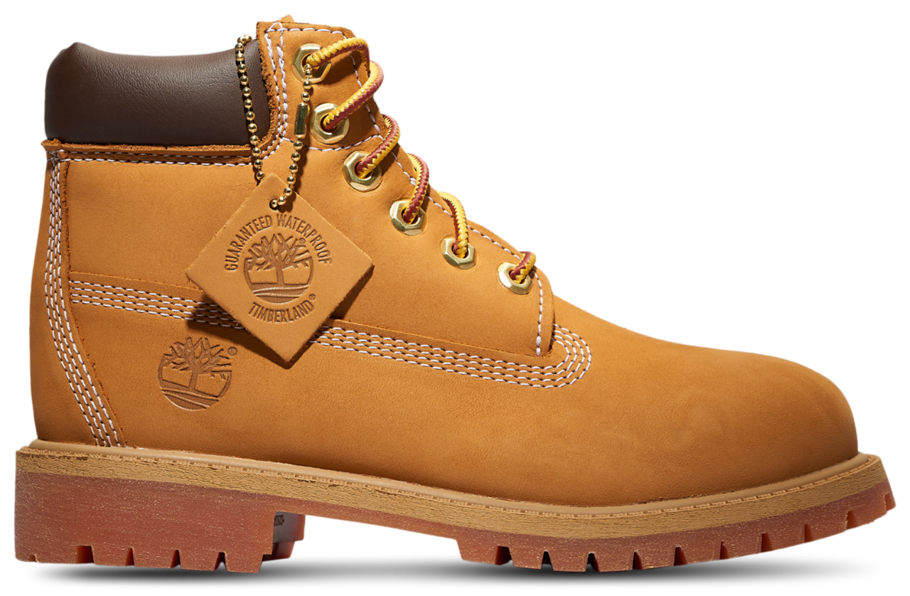Timberland Waterproof 6" Boots