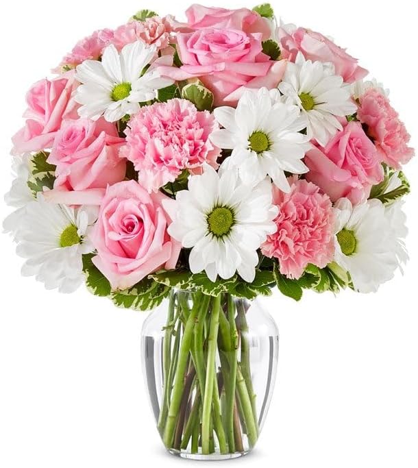 From You Flowers - Dreaming in Daisies Bouquet - Deluxe with Glass Vase | Fresh Flower Bouquets for Birthday, Anniversary, Get Well or Celebration
