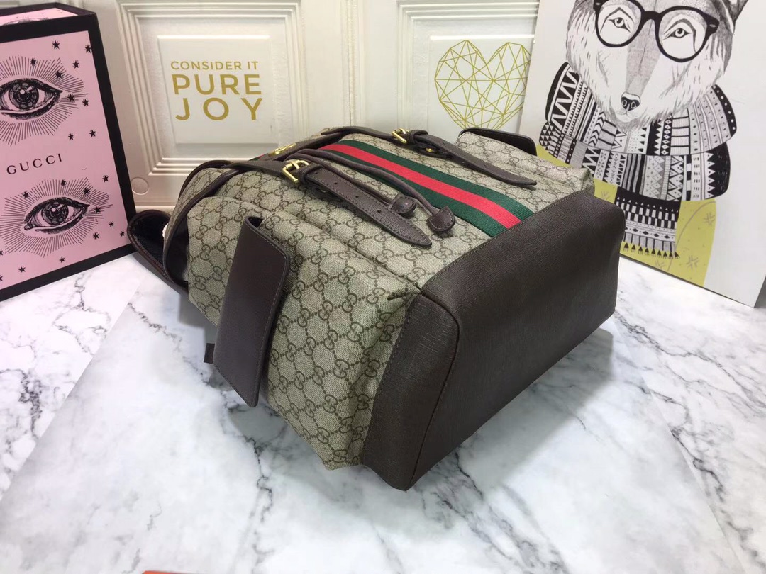 Gucci Ophidia Gg Medium Large Backpack 40Cm 598140 Huhat 8564