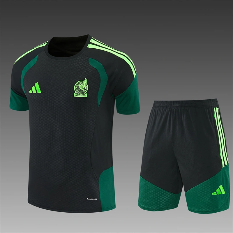 2026-27 Mexico Short-sleeved training clothese