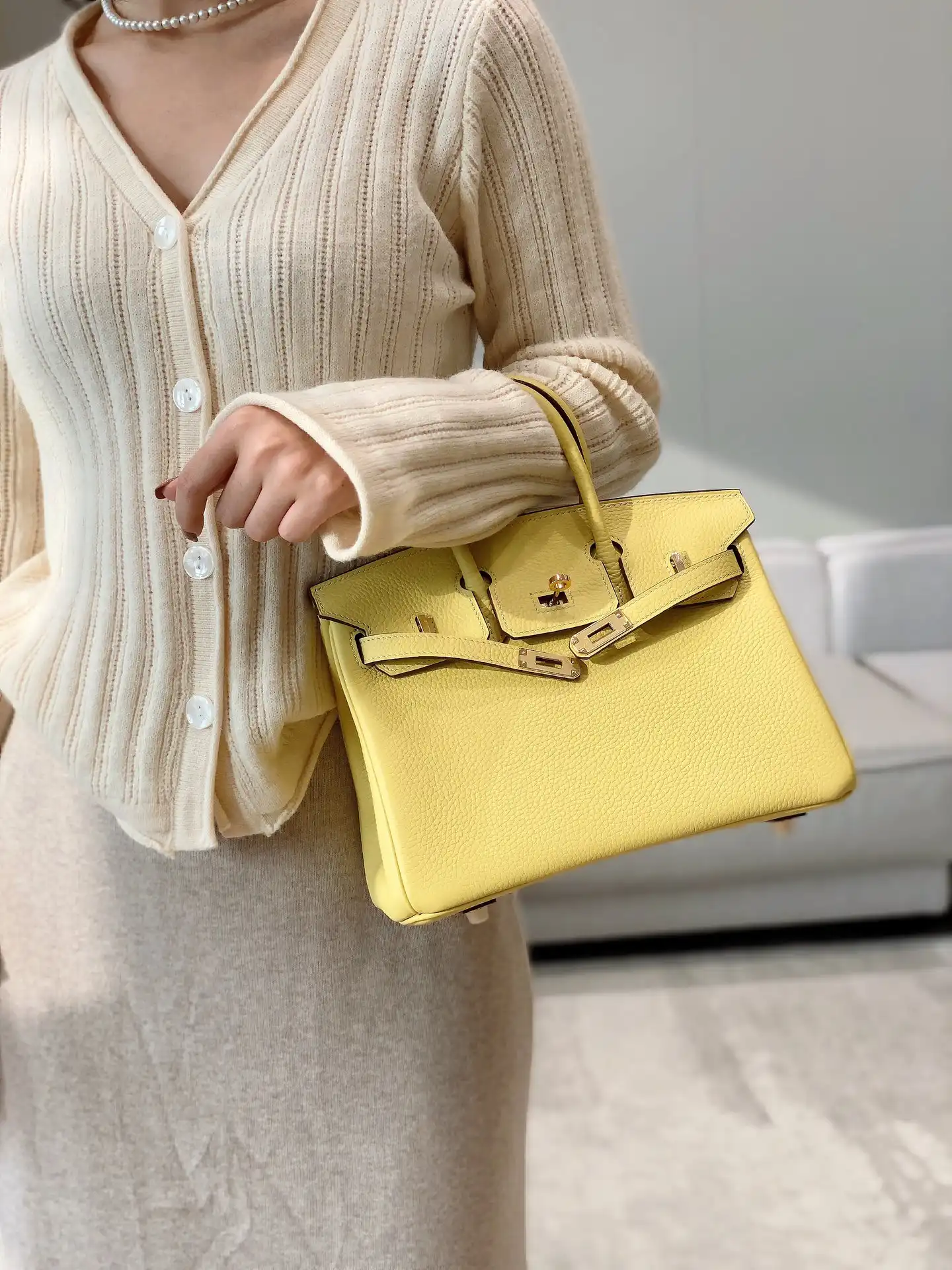 Togo Birkin 25