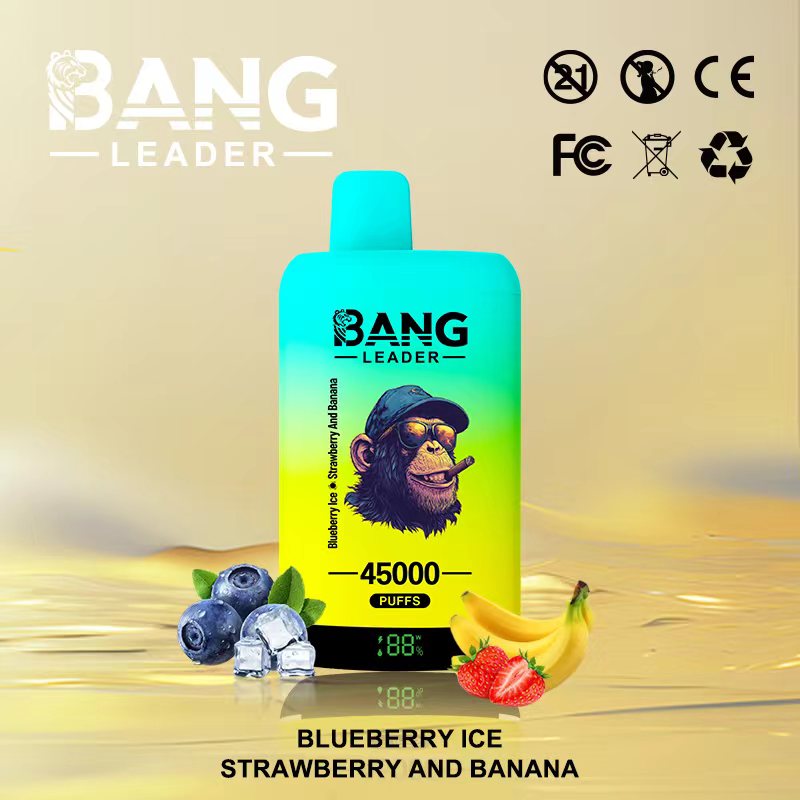 Bang Leader 45K Puffs 2-in-1 Prefilled Vape | Dual Flavor,  Rechargeable