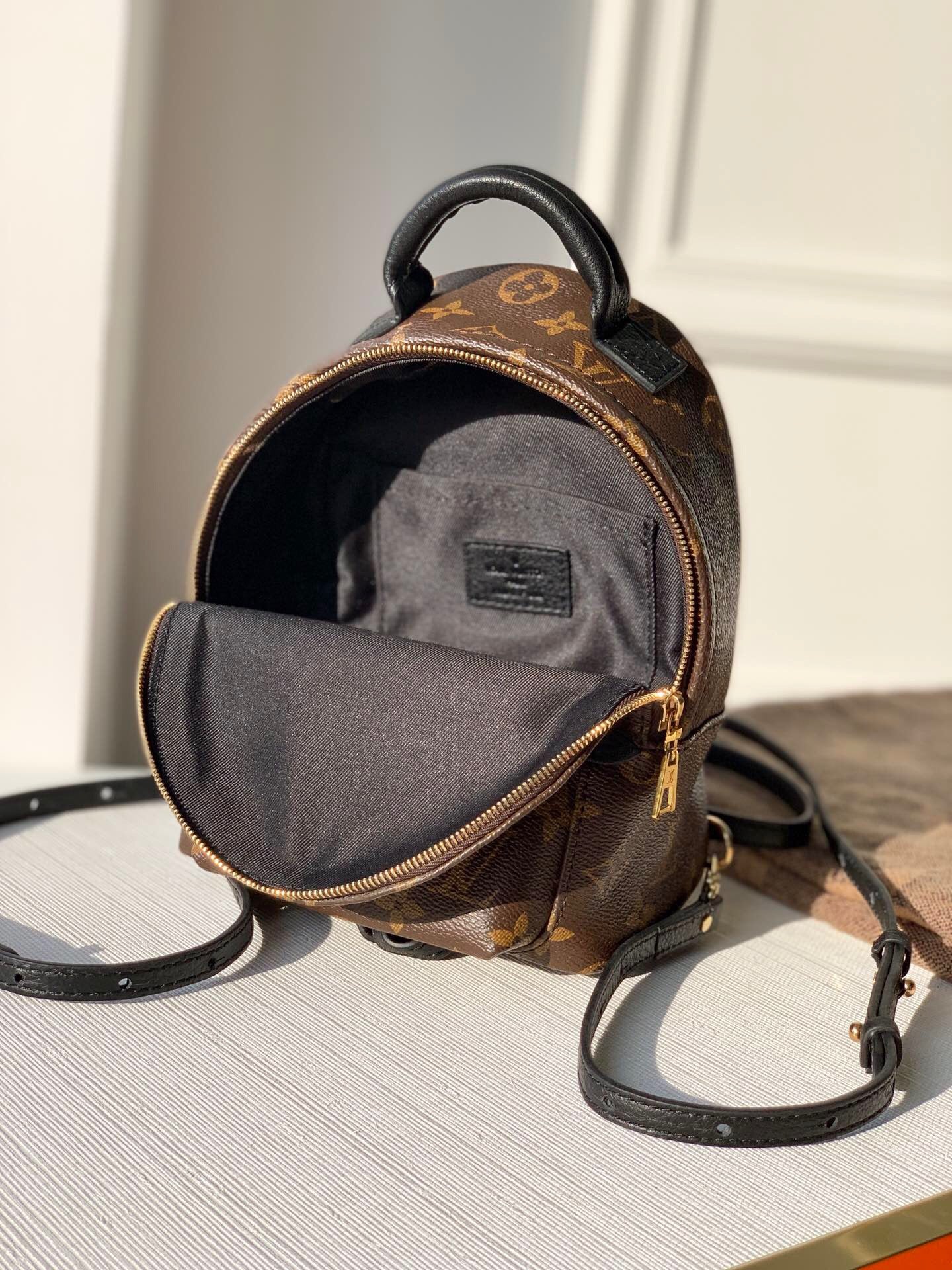 Louis Vuitton Palm Springs Backpack PM Monogram Canvas – 22cm/8.7in