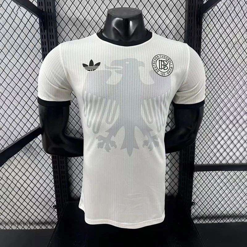 Player 2024-25 Germany Special Edition Football jersey