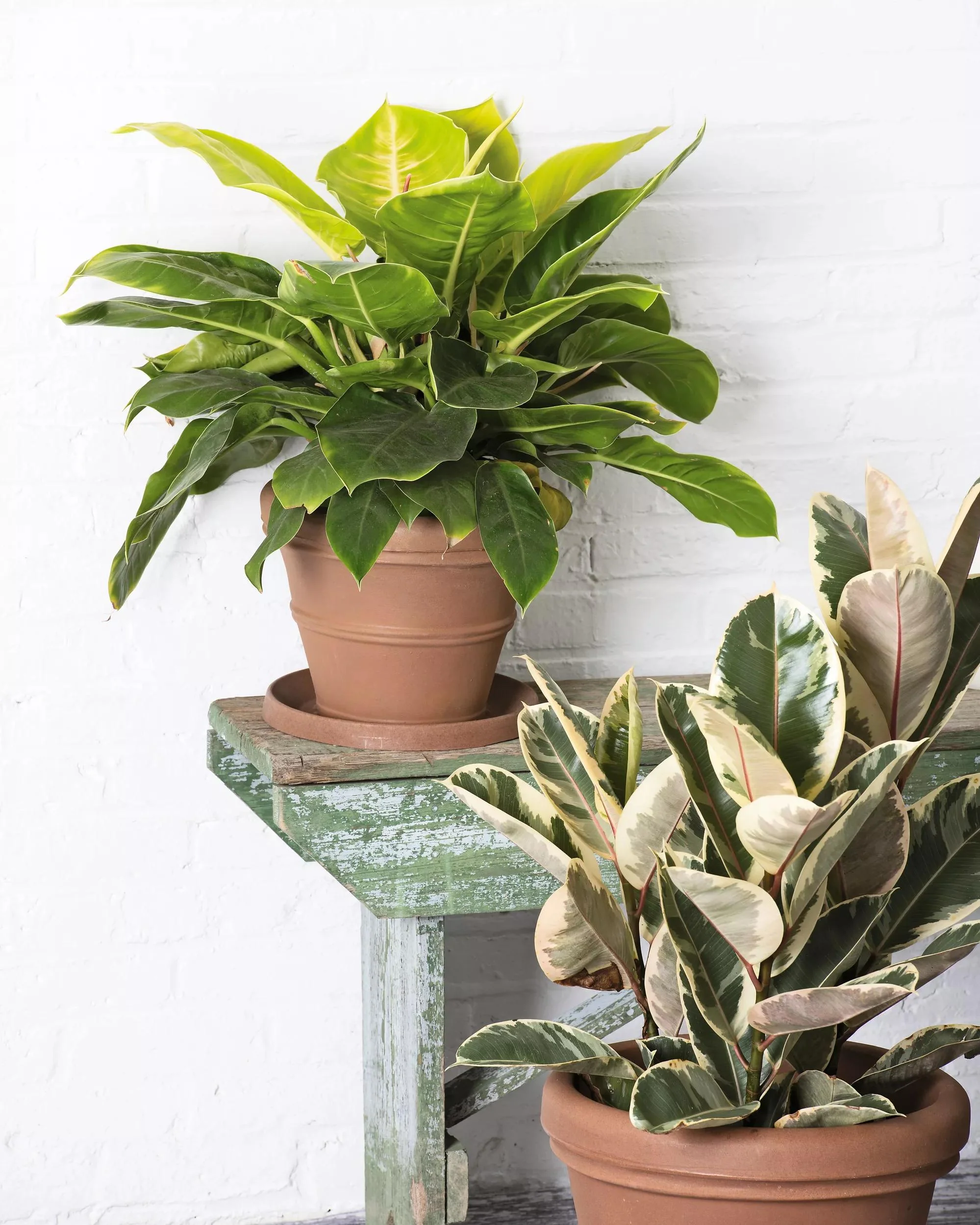 Brunello Planters