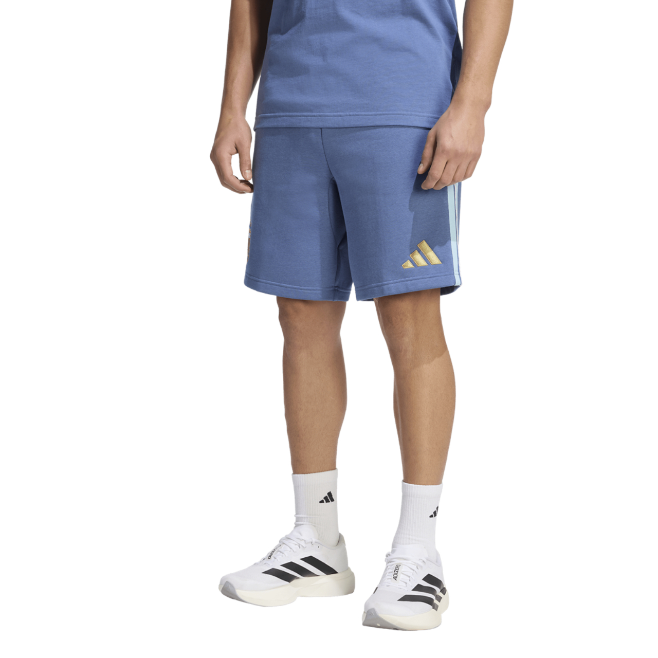 adidas Argentina Dna Fleece Shorts