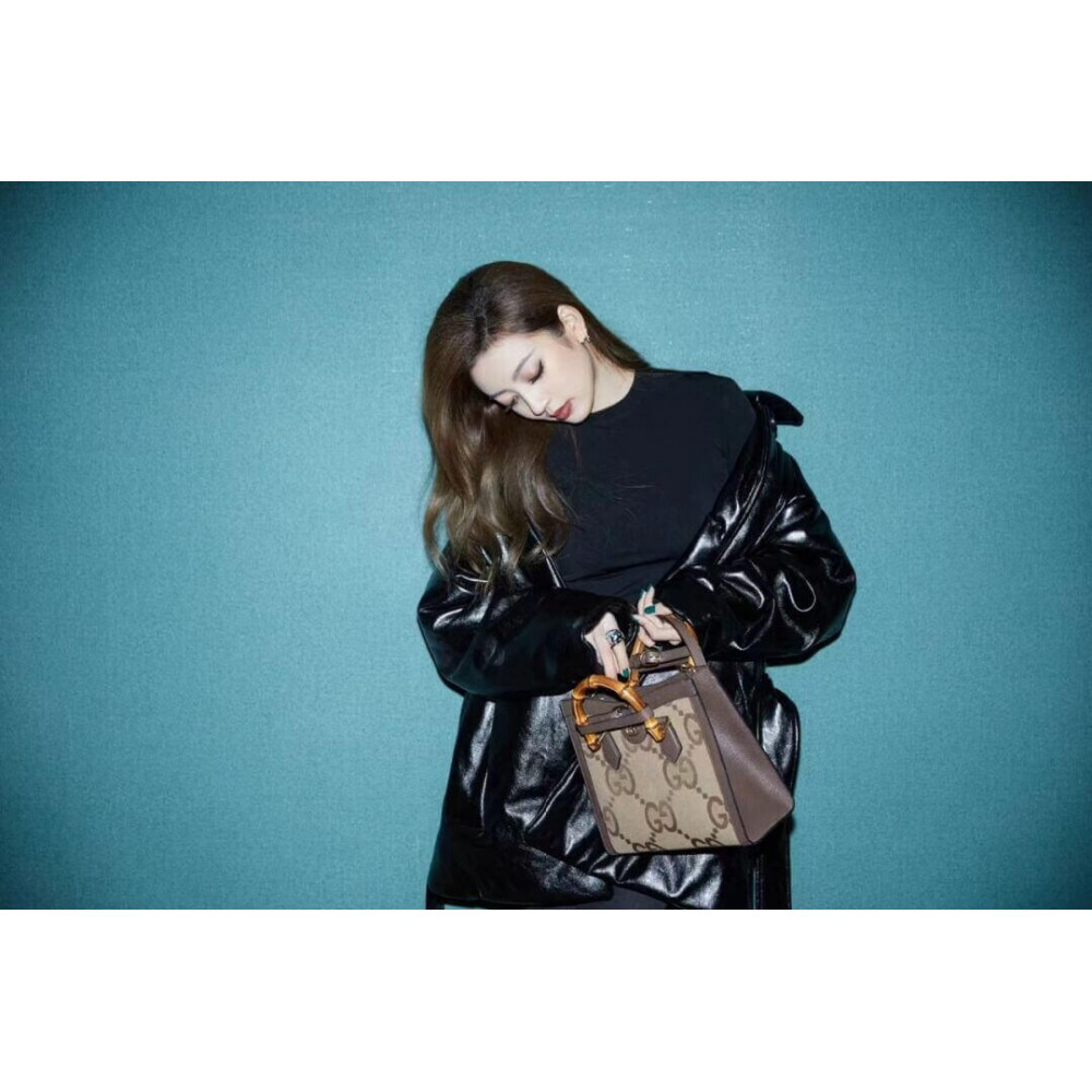 Gucci Diana Jumbo GG Small Tote Bag Brown 27cm