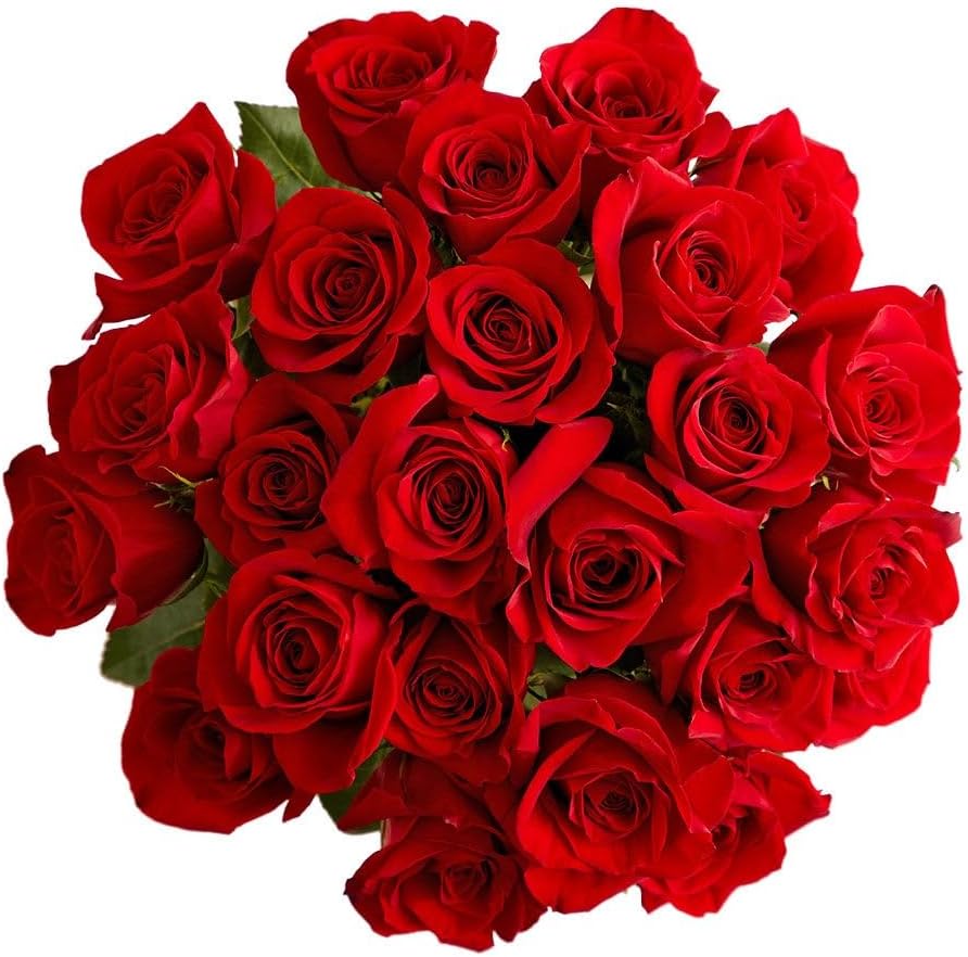 1800 Flowers – 24 Stem Red Roses (Bouquet Only) | Fresh Cut Spring Flowers for Delivery | Gift for Easter, Anniversary, Sympathy, and Special Occasions