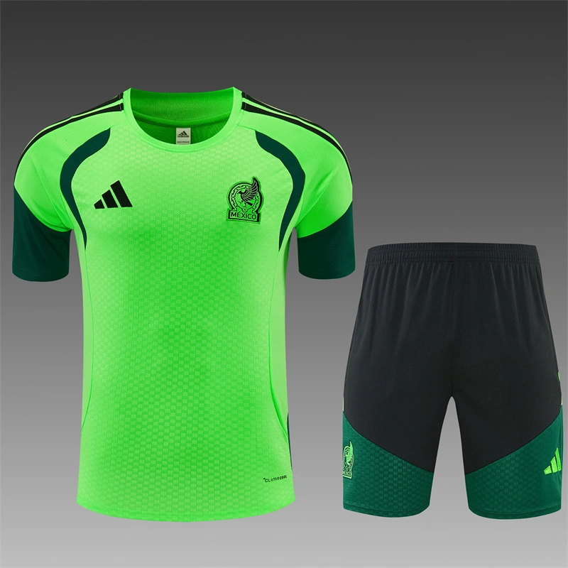 2026-27 Mexico Short-sleeved training clothese