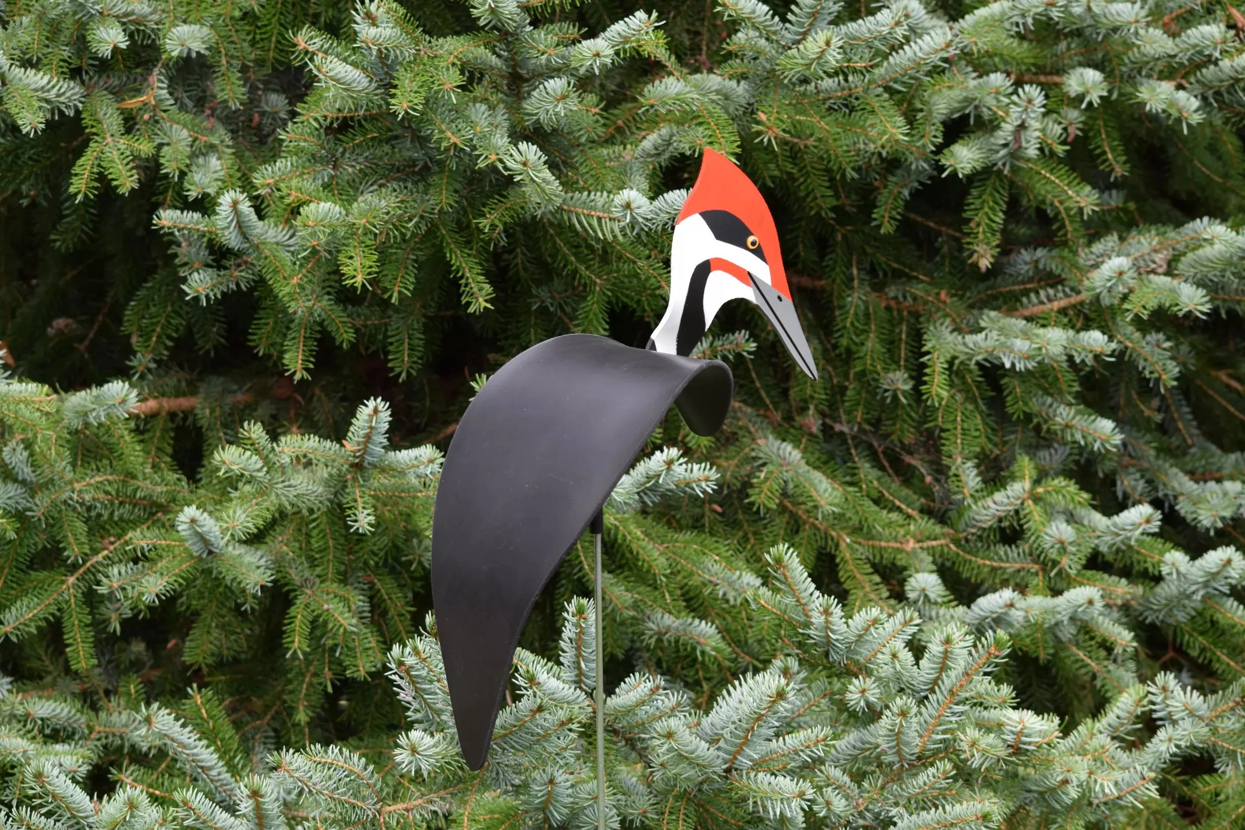 Florida Dancing Birds®, Pileated Woodpecker