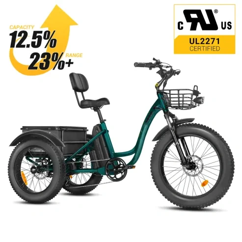 Special offer⚡️[750W] Rear Drive Electric Trike Ver 2026
