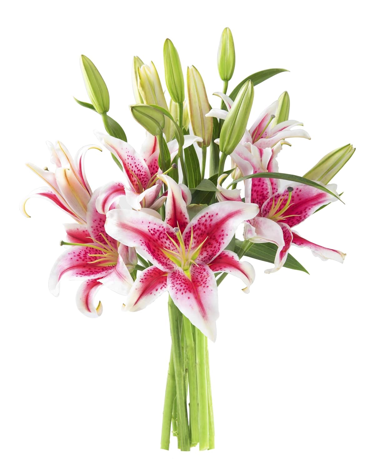 KaBloom - Sailor's Sunset Bouquet of 5 Fresh Pink Lilies Without Vase - Fresh Flowers for Birthday, Valentine's & Mother's Day