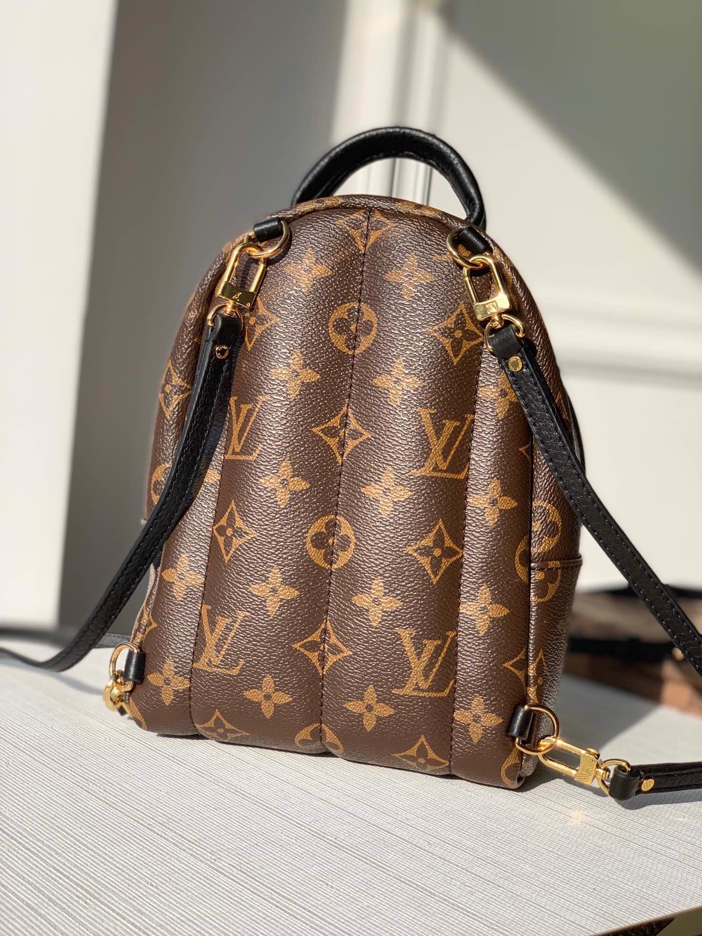 Louis Vuitton Palm Springs Backpack PM Monogram Canvas – 22cm/8.7in