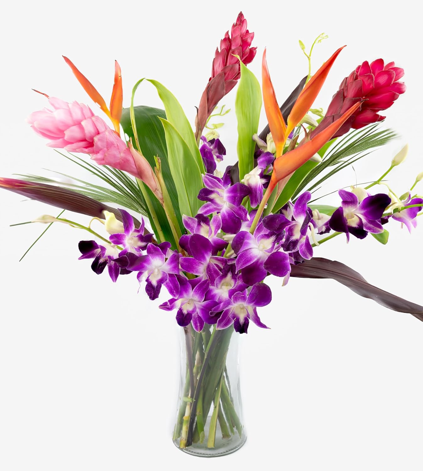 Fresh Orchids and Tropical Flower Bouquet, Purple Orchids, Red Ginger, Heliconia, Mixed Foliage, Hawaiian - PRIME QUALITY - Perfect for Birthdays, Valentine's Day, Mother's Day, Anniversaries, etc.