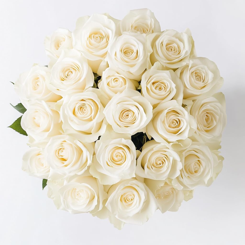 GlobalRose 100 White Roses Bouquet - Responsibly Sourced Roses Fresh Flowers - Hand-Picked Flowers Fresh Bouquet for Graduation, Anniversary, Birthday & Special Occasions (4 Bunches of 25 Stems)
