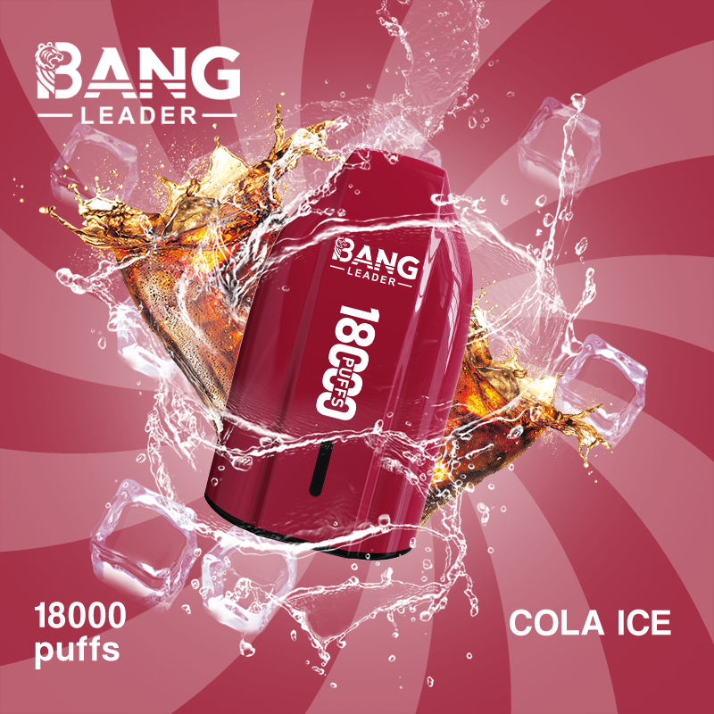 Bang Leader 18K Puffs Prefilled Vape |  Rechargeable