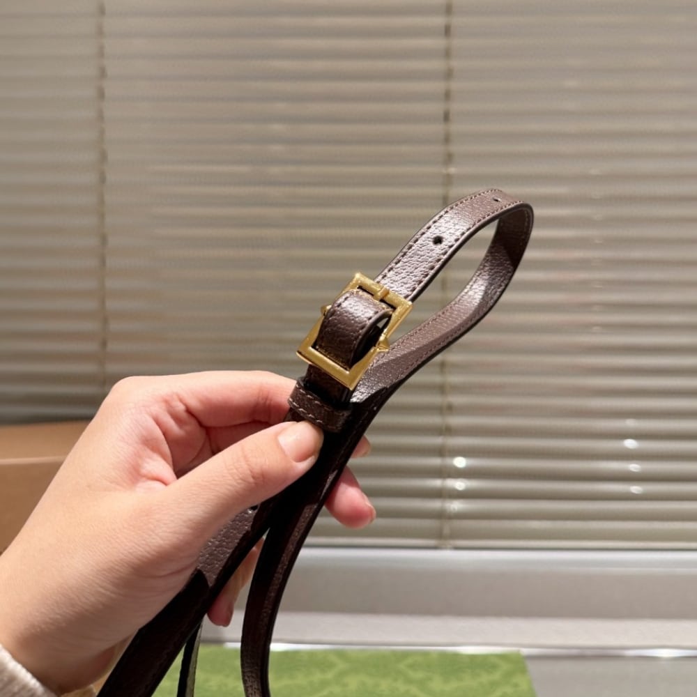 Gucci Ophidia Small Shoulder Gg Supreme Beige Ebony 23cm 499621 K05ng 8745