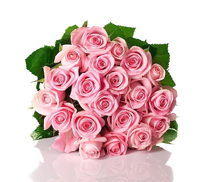 KaBloom - 50 Pink Roses - Fresh Flowers for Birthday, Valentine's & Mother's Day