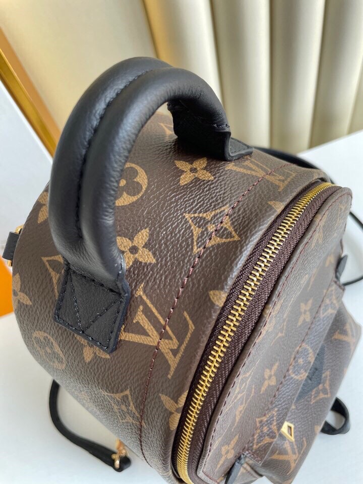 Louis Vuitton Palm Springs Backpack Mini Monogram Canvas – 17cm/6.7in