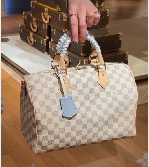 Louis Vuitton Speedy 30 Soft Damier Azur Canvas N40908