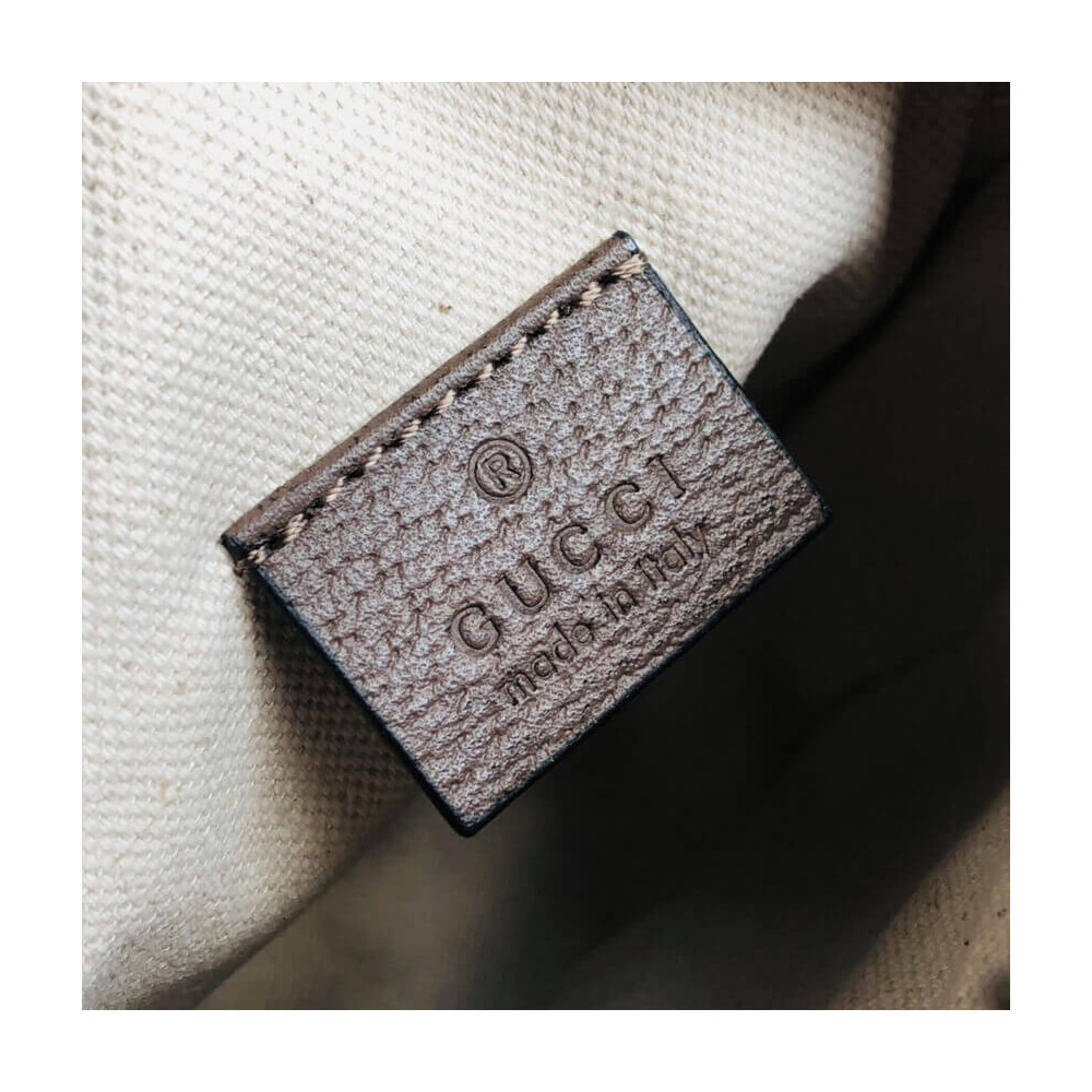 Gucci Ophidia Mini Bag Coffee