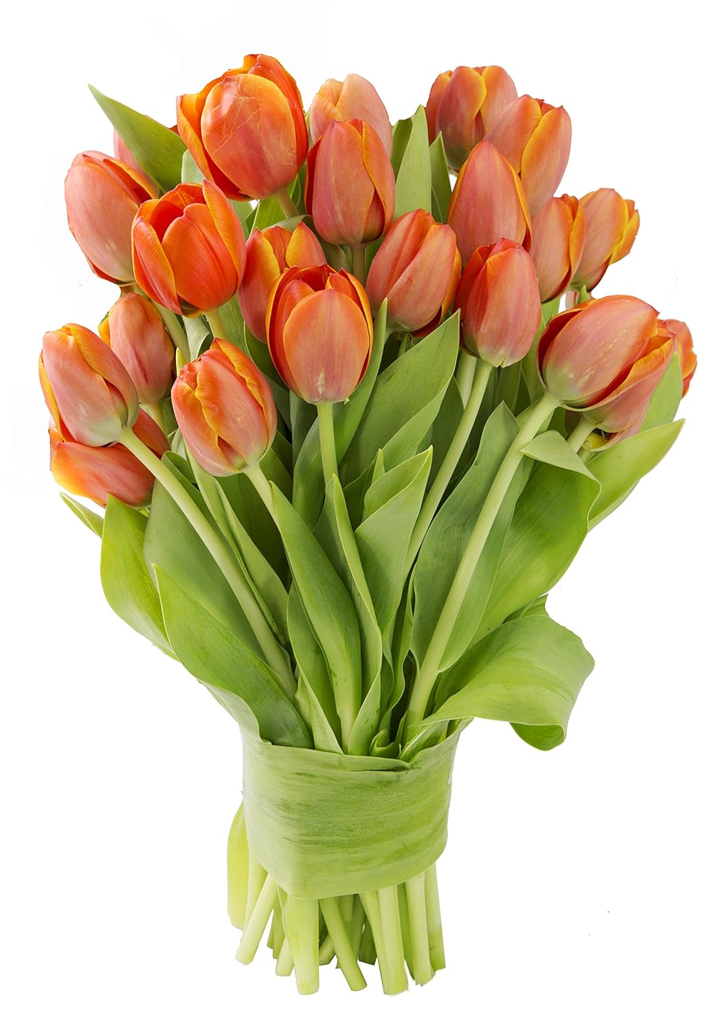 KaBloom PRIME NEXT DAY DELIVERY - Mother’s Day Collection - Bouquet of 20 Orange Tulips| Gift for Birthday, Sympathy, Anniversary, Get Well, Thank You, Valentine, Mother’s Day Fresh Flowers