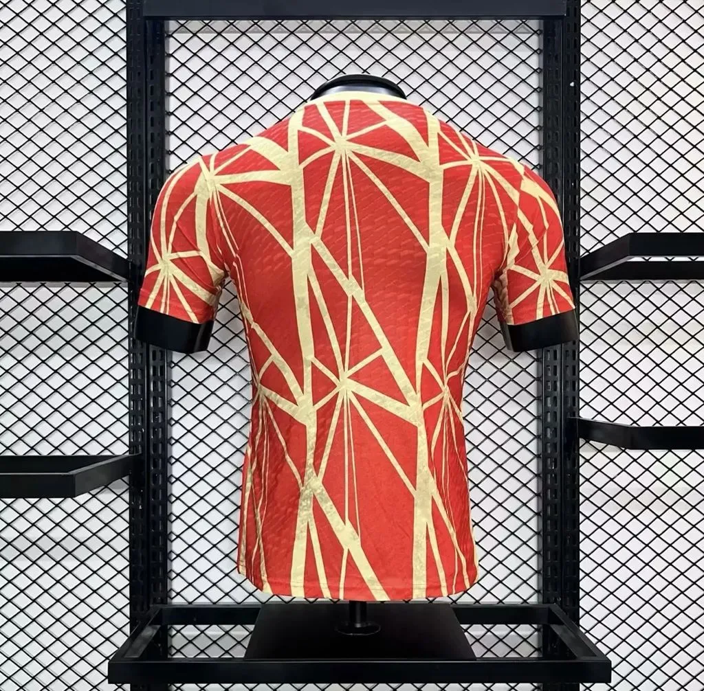 Player 2024-25 Bayern Munchen Special Edition Football jersey