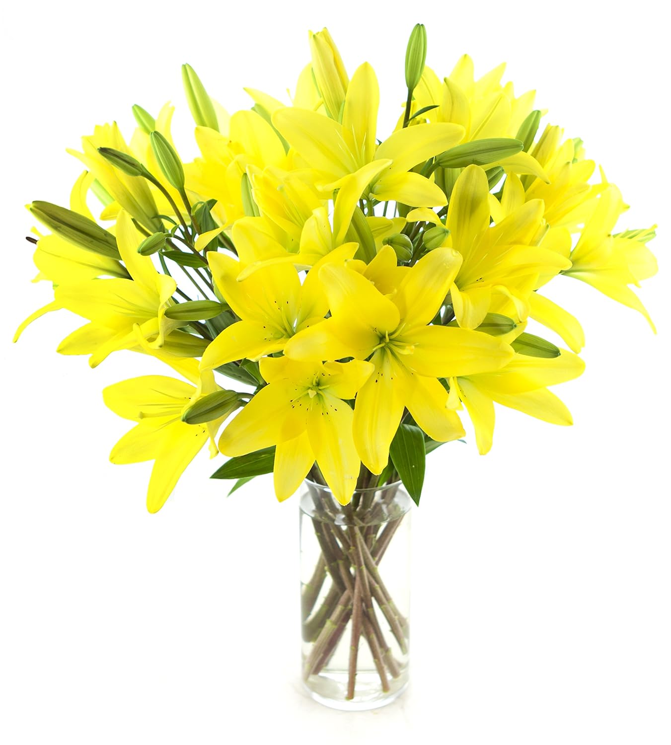 DELIVERY by Fri, 02/09 Guaranteed IF Order Placed by 02/08 Before 2PM EST.KaBloom Valentine's PRIME NEXT DAY DELIVERY - Yellow Lily Bouquet of 13 Yellow Asiatic Lilies with Vase Gift for Valentine