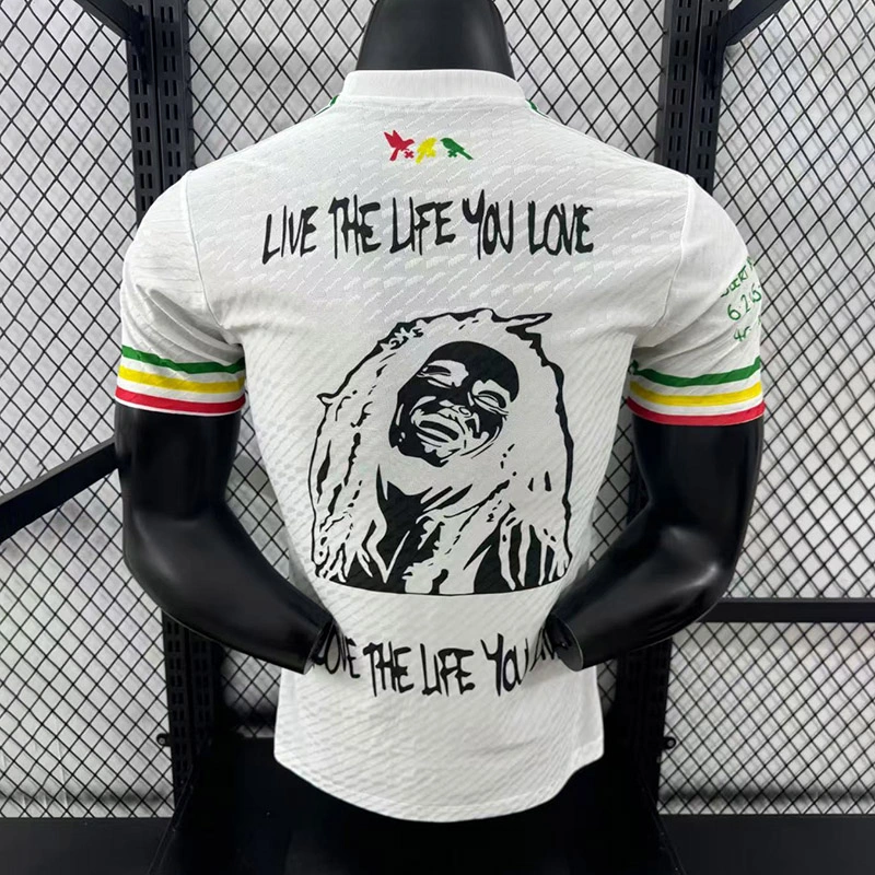 Player 2025-26 Ajax Special Edition Football jersey