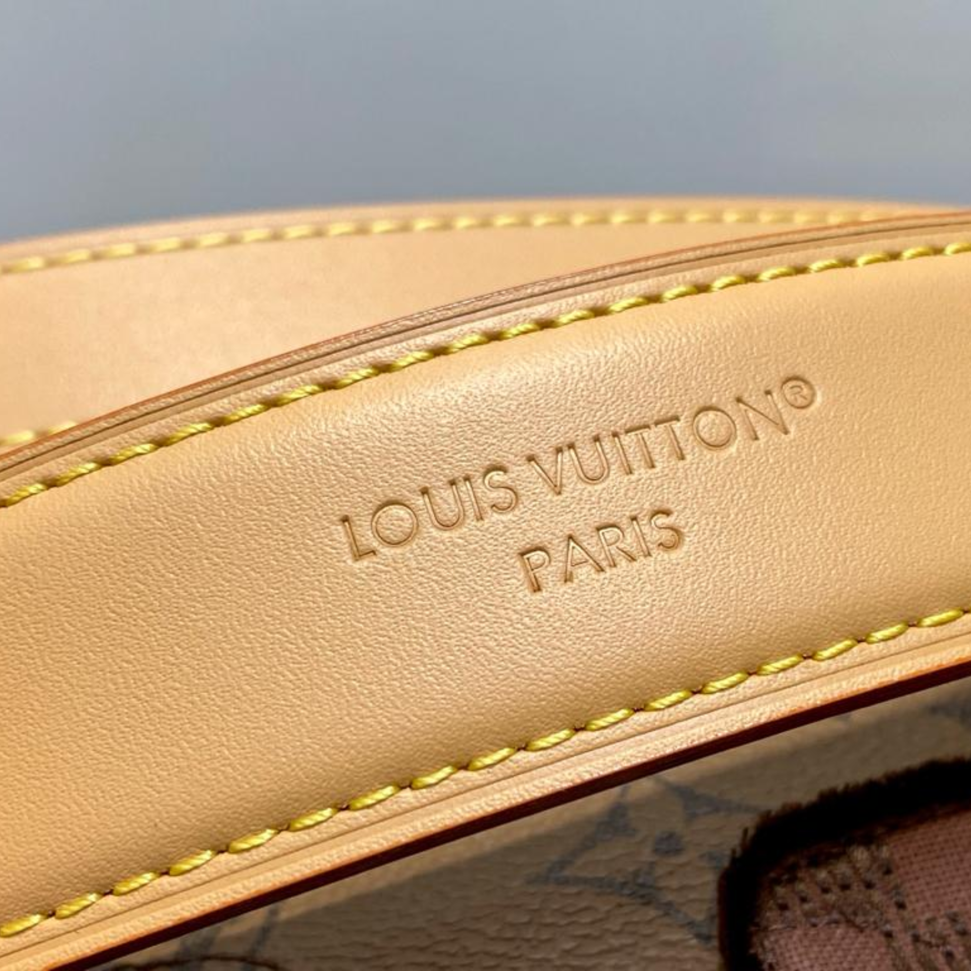 Louis Vuitton Nil Monogram Bag 25cm