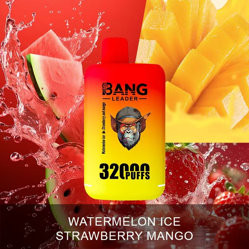 [Minimum order of 3]Bang Leader 32K Puffs 2-in-1 Prefilled Vape | Dual Flavor,  Rechargeable
