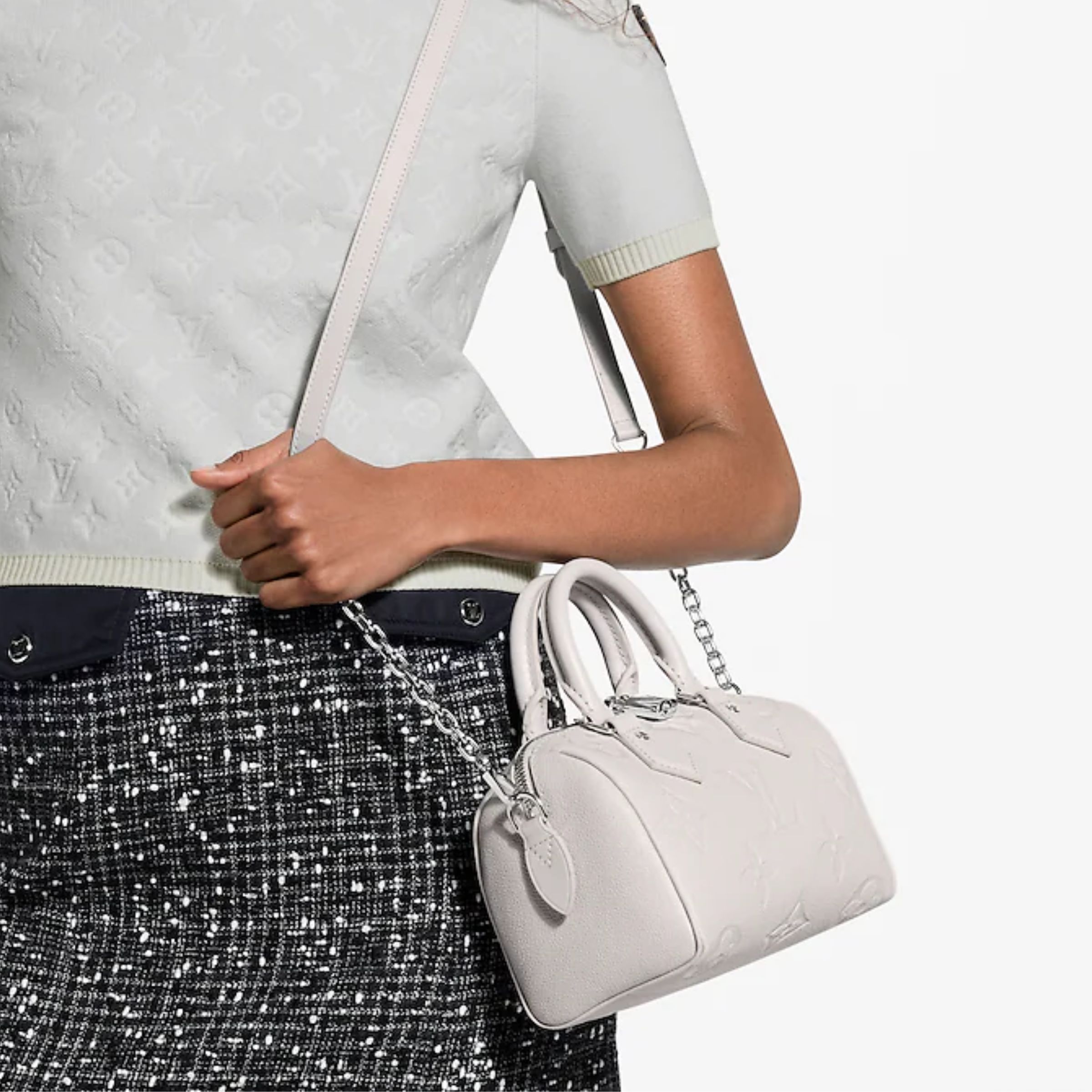 Louis Vuitton Speedy 20 Bag Brume Grey  16cm M28343