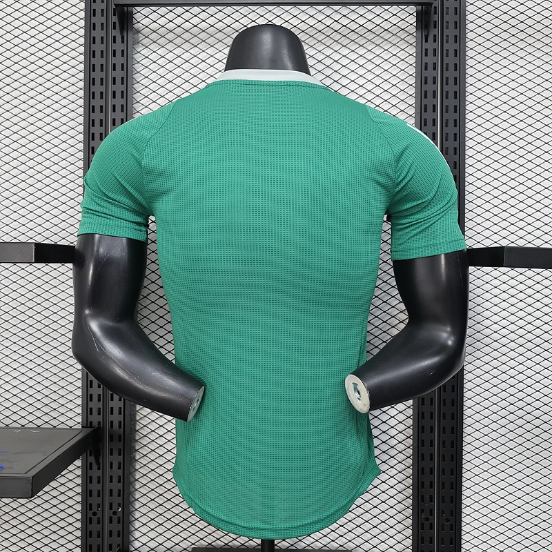 Player 2025-26 Algeria Special Edition Football jersey