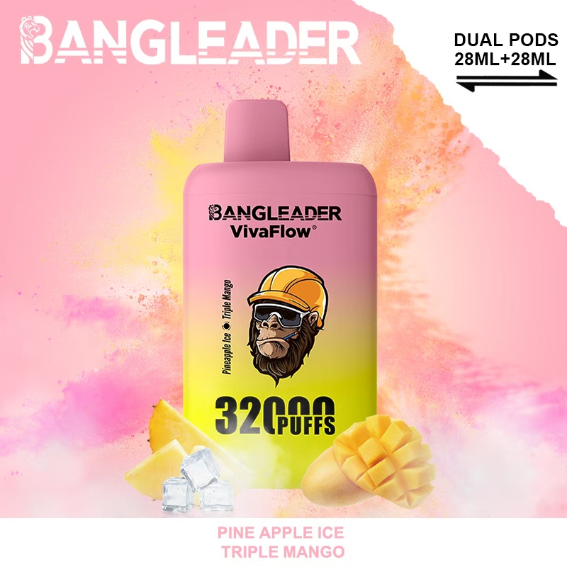 [Minimum order of 3]Bang Leader 32K Puffs 2-in-1 Prefilled Vape | Dual Flavor,  Rechargeable